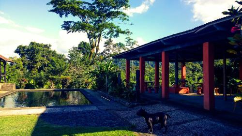 Κήπος έξω από το Los Gallitos Eco Lodge