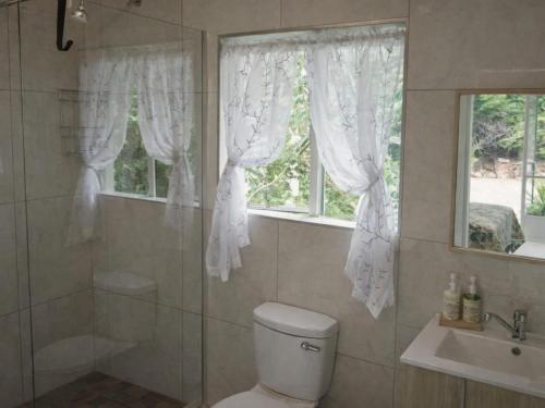 a bathroom with a toilet and a shower and a window at Bushwillows B&B in Rustenburg