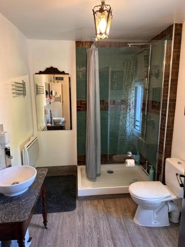 a bathroom with a shower and a toilet and a sink at Chez Stéphanie et Sylvain in Le Mesnil-Villeman