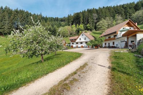 a dirt road in a village with houses and a tree at Holderstanzenhof in Bad Griesbach
