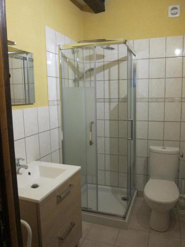 a bathroom with a shower and a toilet and a sink at Gîte la Ferme in Mutzig