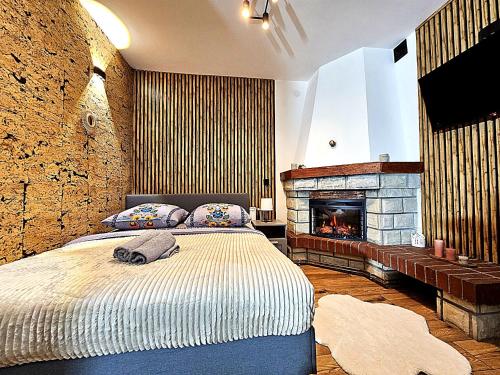 a bedroom with a large bed and a fireplace at NOCLEGI POD STODOŁĄ in Krakow