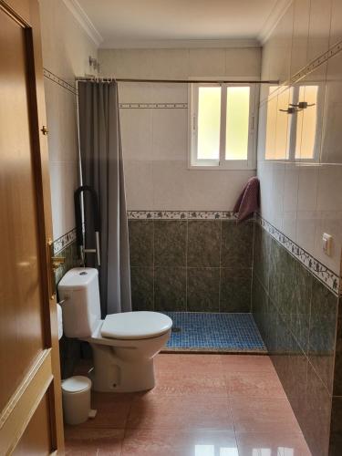 a bathroom with a toilet and a shower at Casa Santa Úrsula in Casinos