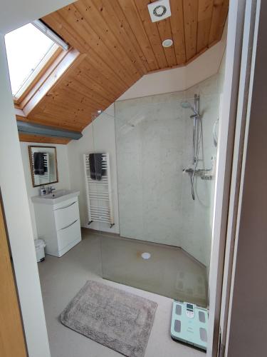a bathroom with a shower and a sink at 50-5 Coolyvenny in Killure