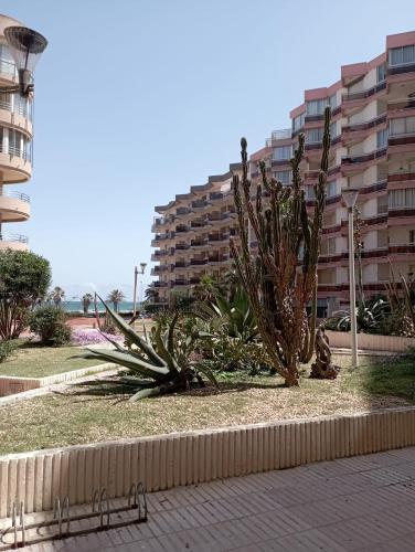 Mar Playa y Sol