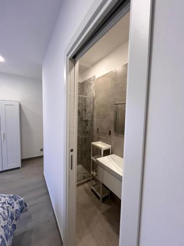 a bathroom with a shower and a sink at Brothers house in Genzano di Roma