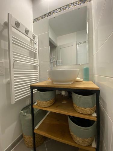 a bathroom with a sink and a mirror on a shelf at La Grange de Céor in Cassagnes-Bégonhès