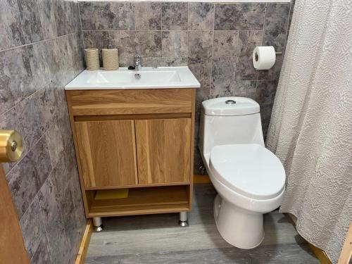 a bathroom with a toilet and a sink at Ruta Divisadero in Coihaique