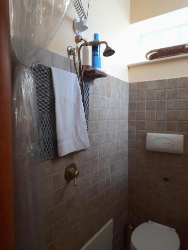 a bathroom with a toilet and a sink and a shower at I QuattroGioielli in SantʼAngelo le Fratte