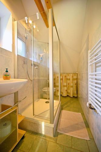 a bathroom with a shower and a sink at Ferienhaus Weitblick in Dresden