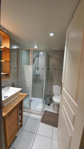 a bathroom with a shower and a toilet and a sink at La Maison du Cros in Cassagnes-Bégonhès