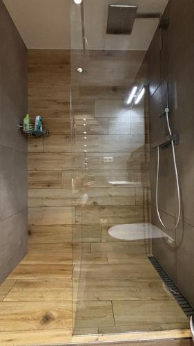 a shower with a glass door in a bathroom at Apartmán Jasanek in Železná Ruda