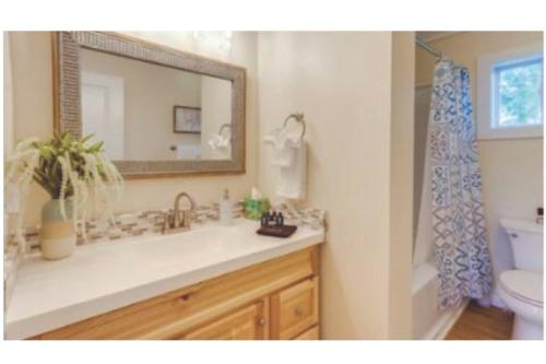a bathroom with a sink and a mirror and a toilet at Sunrise Cottage in Blue Ridge