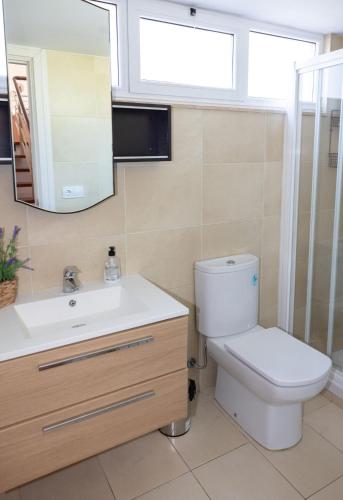 a bathroom with a toilet and a sink and a mirror at Casa D Aitana in Pardaces de Arriba