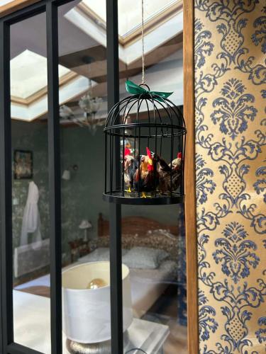 a bird cage with birds in it in a store window at L'Amandine in Puisserguier