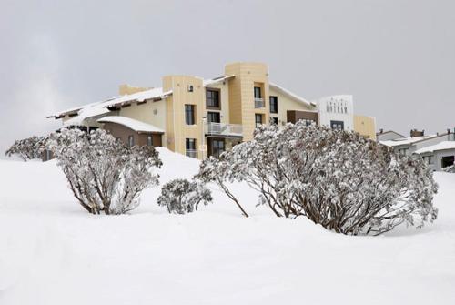 two bushes in the snow in front of a building at Chalet Hotham 8 in Mount Hotham