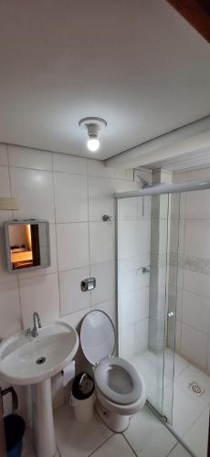 a bathroom with a toilet and a sink and a shower at Loft central, cozinha e sala in Joinville