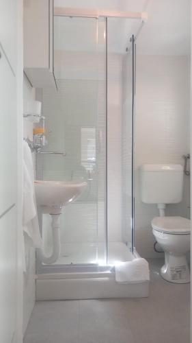 a bathroom with a shower and a sink and a toilet at Danica Karlobag in Karlobag