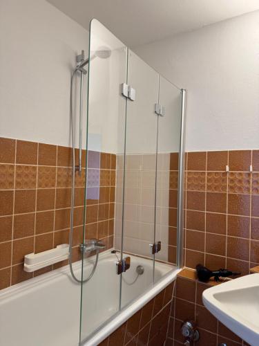 a bathroom with a shower and a tub and a sink at Inselblick 3 in Schleswig