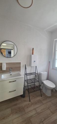 a bathroom with a sink and a toilet and a mirror at Apartament Nova Kamienica 1 in Łagów