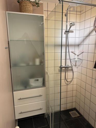 a shower with a glass door in a bathroom at Central lejlighed med tag-terrasse in Aarhus