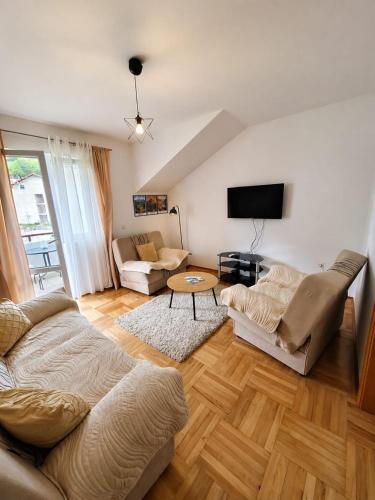 a living room with two couches and a tv at Elena Apartment in Plužine