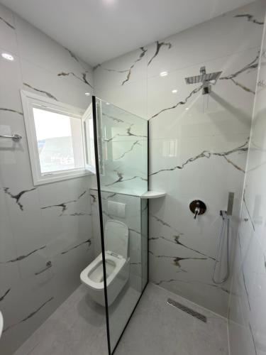 a bathroom with a shower and a toilet at Petro Rooms and View in Laç