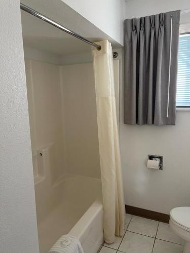 a bathroom with a shower curtain and a toilet at Starlite Budget Inn in Mackinaw City