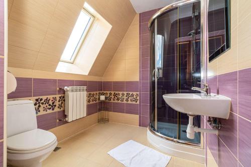 a bathroom with a toilet and a sink at Pokoje gościnne u Eli i Jacka in Murzasichle