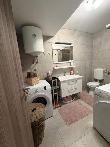 ein Badezimmer mit Waschmaschine und Waschbecken in der Unterkunft Apartman Teo in Blace