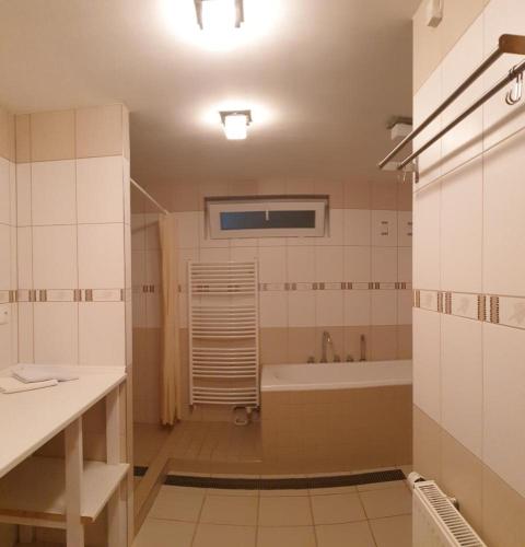 a bathroom with a tub and a sink at Renerovka 93 in Dolní Malá Úpa