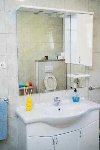a bathroom with a white sink and a mirror at Apartman VITINA in Ljubuški