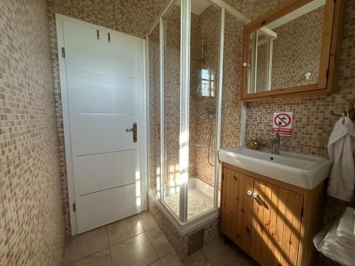 a bathroom with a shower and a sink and a white door at Green river cottage in Žažina