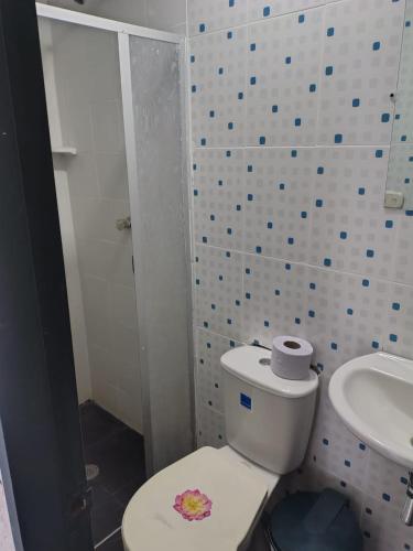 a bathroom with a toilet and a sink at CASA FLOR DE LIZ in Villavieja