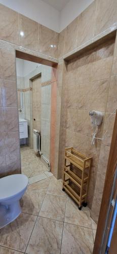 a bathroom with a toilet and a sink at O.W. LAZUR nad jeziorem in Żywiec