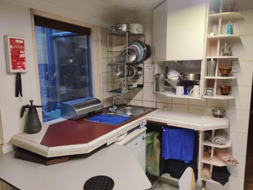 a small kitchen with a sink and a window at Frank's Backpackers in Helmond