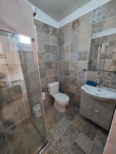 a bathroom with a toilet and a sink and a shower at Kellaki Village House in Kellaki