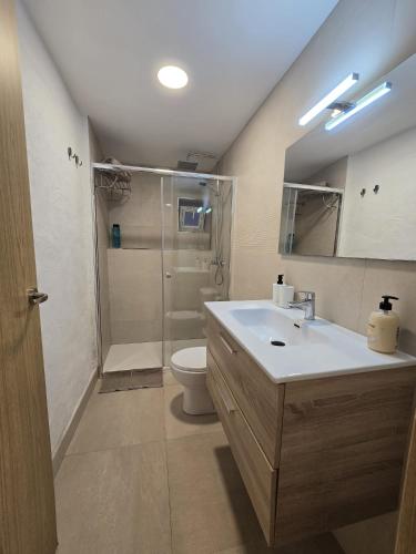 a bathroom with a sink and a toilet and a shower at Loft Centrico Tantín RH 17 in Santander