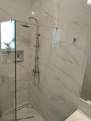 a shower with a glass door in a bathroom at Apartmani Mila-Casa Bianca in Medulin