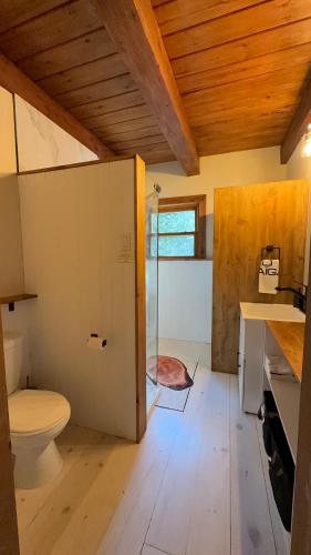 a bathroom with a toilet and a glass shower at Domaine Taïga - Parc animalier en forêt in Sainte-Agathe-des-Monts
