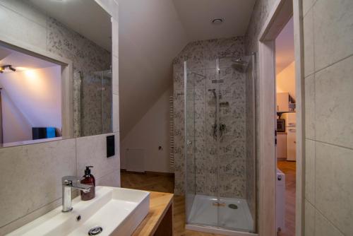 a bathroom with a shower and a sink at Apartamenty Sielska 102 in Szlachtowa