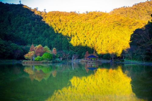 a lake with a gazebo in the middle of a forest at Ming Chi Resort in Datong