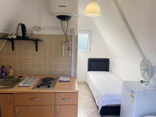 a kitchen with a sink and a bed in a room at Apartments and Bungalows Mimoza Baošići in Herceg-Novi