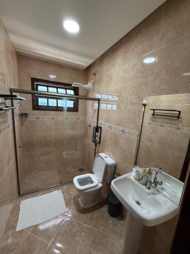 a bathroom with a shower and a toilet and a sink at Casa da Dinda 202 in Rio das Ostras