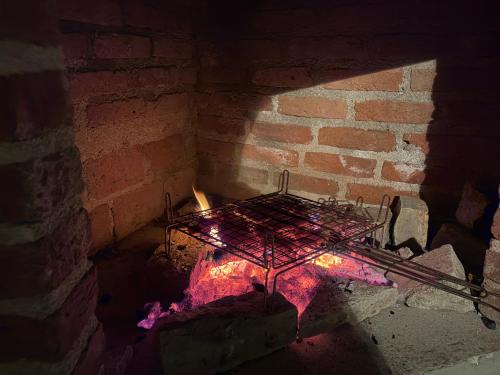 Neza's place