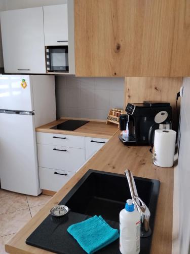 a kitchen with a sink and a refrigerator at Apartament Ogrodzieniec in Ogrodzieniec
