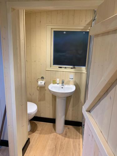 a small bathroom with a sink and a toilet at Heated shepherds hut overlooking open countryside in Chichester