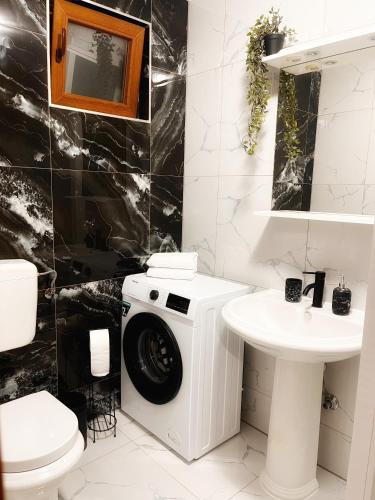 a bathroom with a washing machine and a sink at Apartman Ćosić in Kruševica