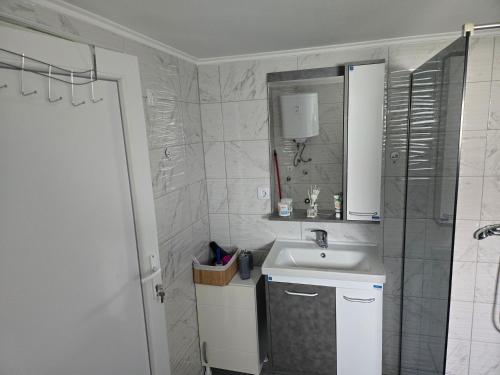 a bathroom with a sink and a shower at Studio Villa Ruža in Golubac