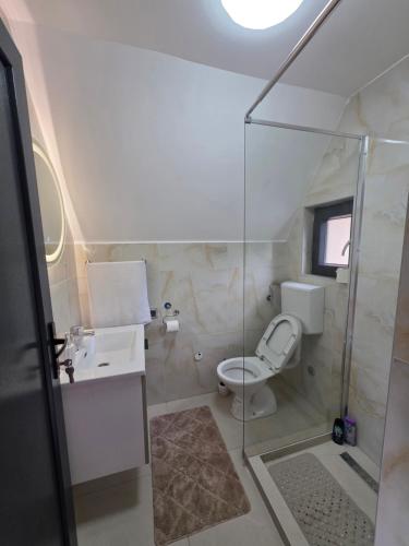 a bathroom with a toilet and a glass shower at Villa Sanja I Villa Aleksa in Bratunac